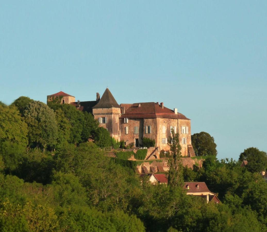 Chateau De Beduer And Vacation Homes المظهر الخارجي الصورة