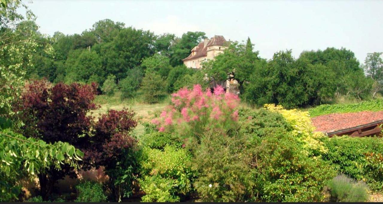 Chateau De Beduer And Vacation Homes المظهر الخارجي الصورة
